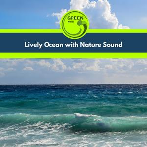 Morning and Ocean Melodies