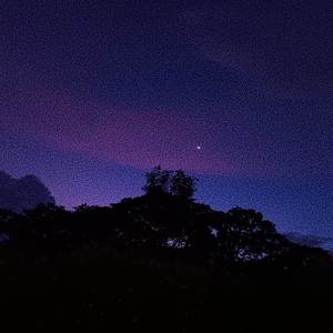 Ojos Cafe (Remix|Explicit)