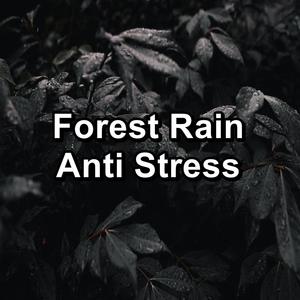 Rain Sound with Alpha Waves Relaxing and Loopable for a 10 Hours Sleep