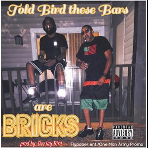 Told Bird these Bars are Bricks (Explicit)