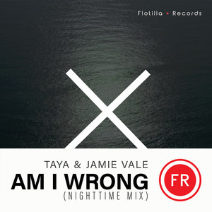 Am I Wrong (Nighttime Mix Radio Edit)