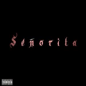 Señorita (Explicit)
