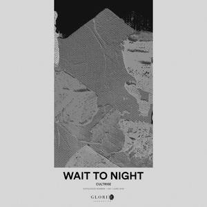 Wait To Night (Extended Mix)