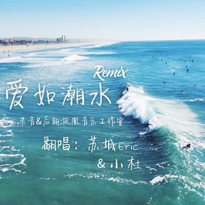 爱如潮水Remix