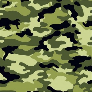 迅子 - 兵谣