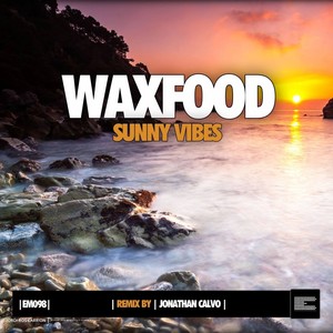 Sunny Vibes (Jonathan Calvo Remix)
