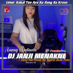 Dj Janji Menakne