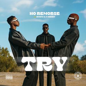 Try (feat. Dvnt3 & Tmulla pse)