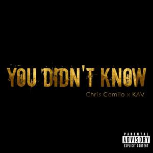 You Didn't Know (feat. KAV) [Explicit]