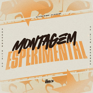 MONTAGEM ESPERIMENTAL (Explicit)