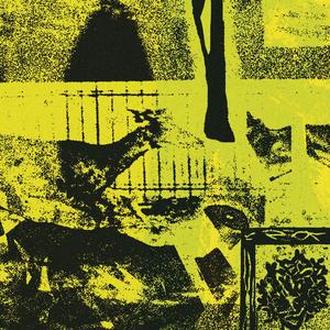 A Coming of Age Novel