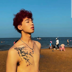 玫瑰少年