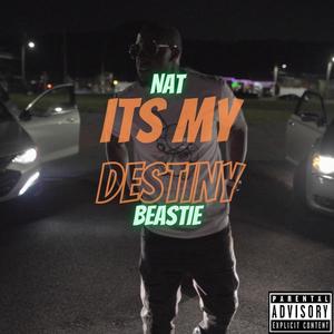 Its My Destiny (Explicit)