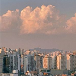 野性。 - 我的歌声里