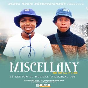 Miscellany Sound