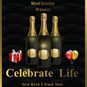 Celebrate Life (feat. Black Ants)