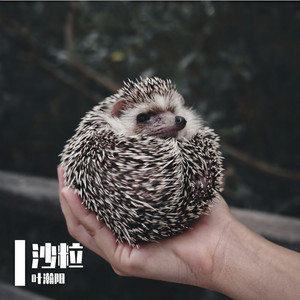 沙粒