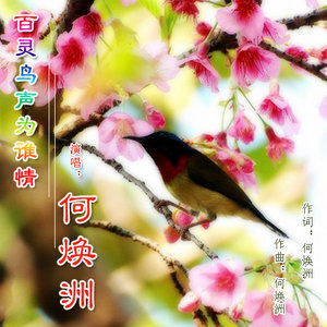 百灵鸟声为谁情