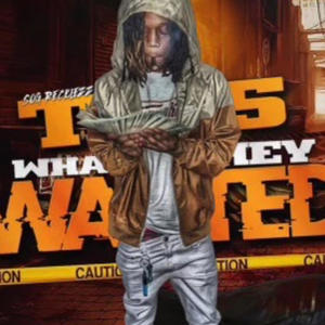 This What They Wanted (Explicit)