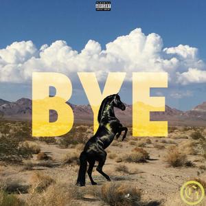 BYE (Explicit)