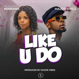 Like U Do (feat. Mariana)