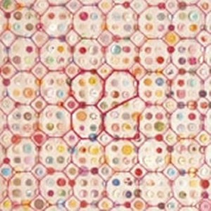 明日、君に会える