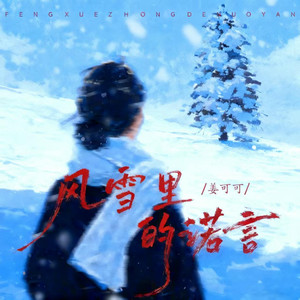 姜可可 - 风雪里的诺言 (大合唱dj阿尼版伴奏)