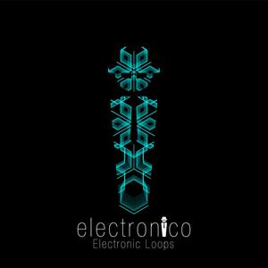 Electronic Loops by electronico