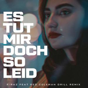 Es tut mir doch so leid (feat. F-Raz) [Red Drill Remix]