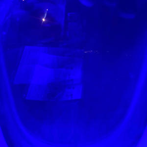 Who Is We (Explicit)