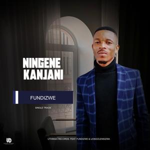 Ningene kanjani (feat. Ijongolensizwa & Fundizwe)