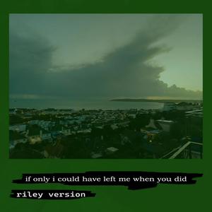 if only i could have left me when you did (Riley version)