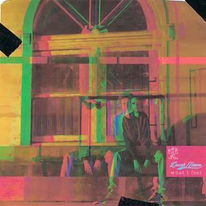 What I Feel (Freestyle) (Explicit)