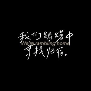 风的归宿封面