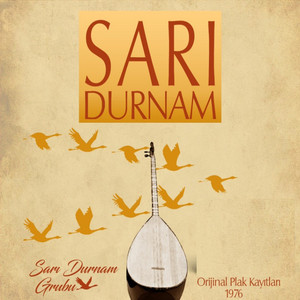 Sarı Durnam