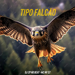 Tipo Falcão (Explicit)