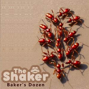 Baker's Dozen