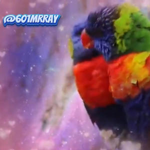 What i Told Her (Explicit)