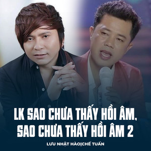 LK Sao Chưa Thấy Hồi Âm, Sao Chưa Thấy Hồi Âm 2