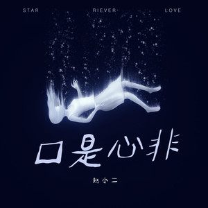 赵小二 - 浪花一朵朵 (DJ版)