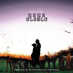 Zizi Elihle (feat. Sims Noreng, Baby Spark, Ratii & Skarazor La Mellow)