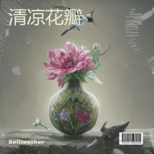 清凉花瓣