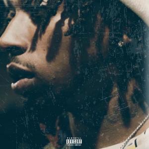 VISION (Explicit)