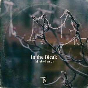 In The Bleak Midwinter