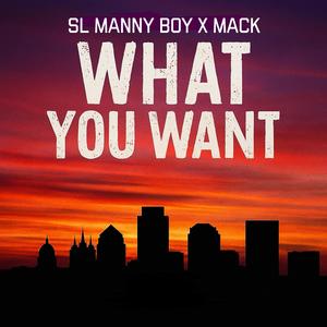 What You Want... (feat. MACK)