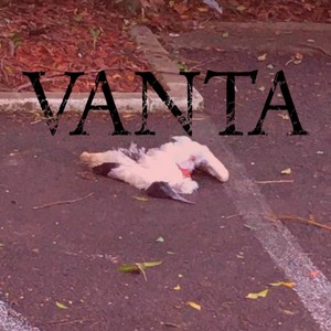 Vanta