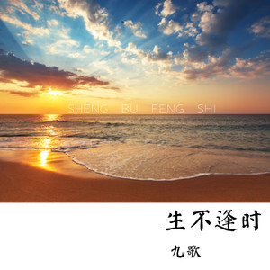 生不逢时封面