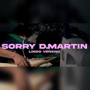 SORRY D.MARTIN (feat. assimm) (Explicit)