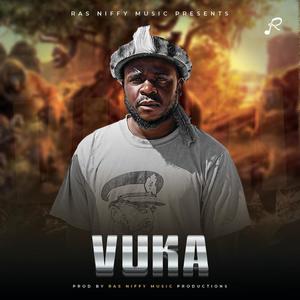 Vusa (feat. Tshi Tshi) (Explicit)