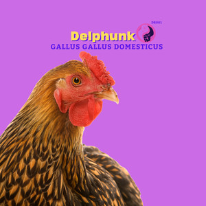 Gallus gallus domesticus